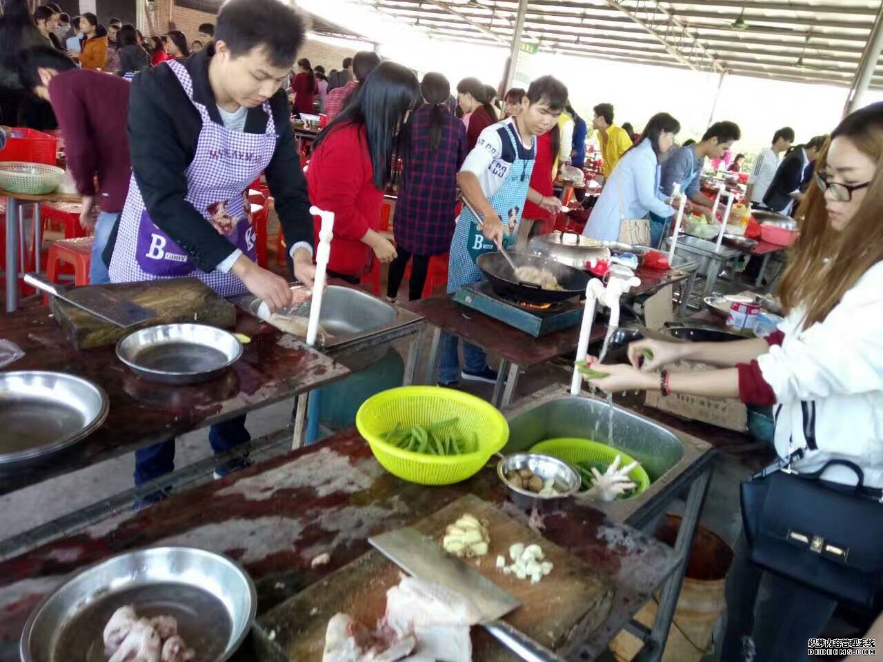 公司組織河源巴伐利亞莊園三日游活動